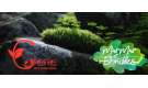 Entreprise : Colette Arts et Matieres Colette Arts et Matieres